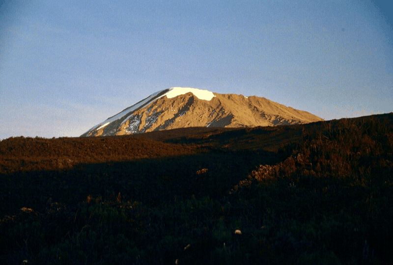 Kilimanjaro