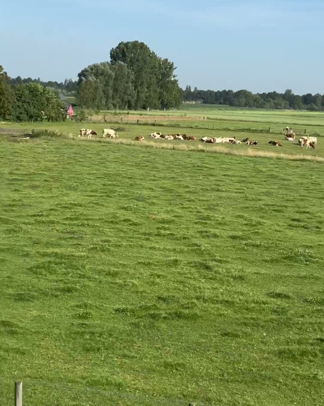 Stage 21: Arnhem – Geldermalsen